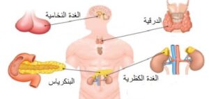 كيف تؤثر الهرمونات على الصحة العقلية